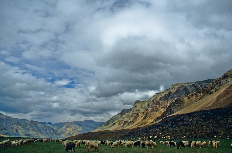 01_Ladakh_2000_Hemis_Trek_Bild_074