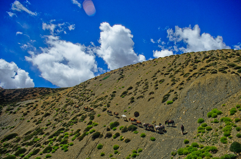 02_Ladakh_2000_Hemis_Trek_Bild_017
