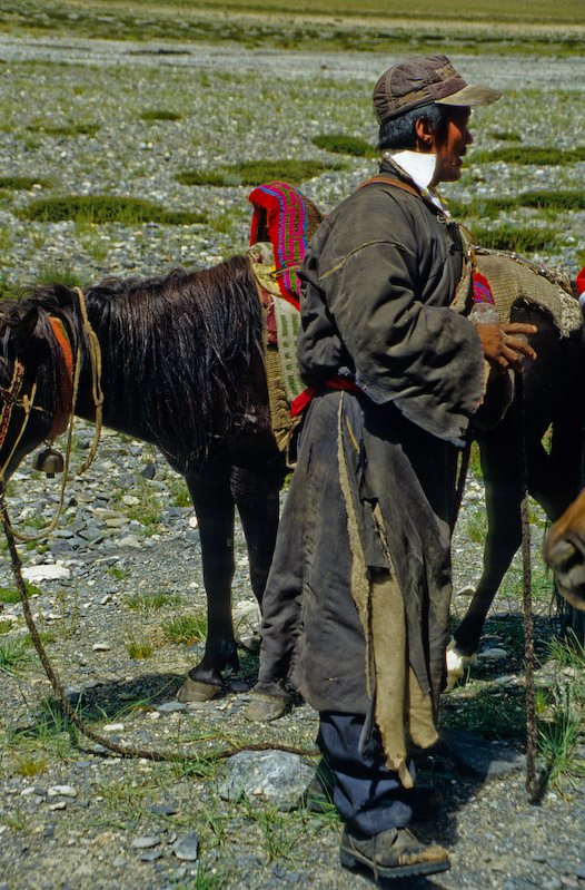 02_Ladakh_2000_Hemis_Trek_Bild_068