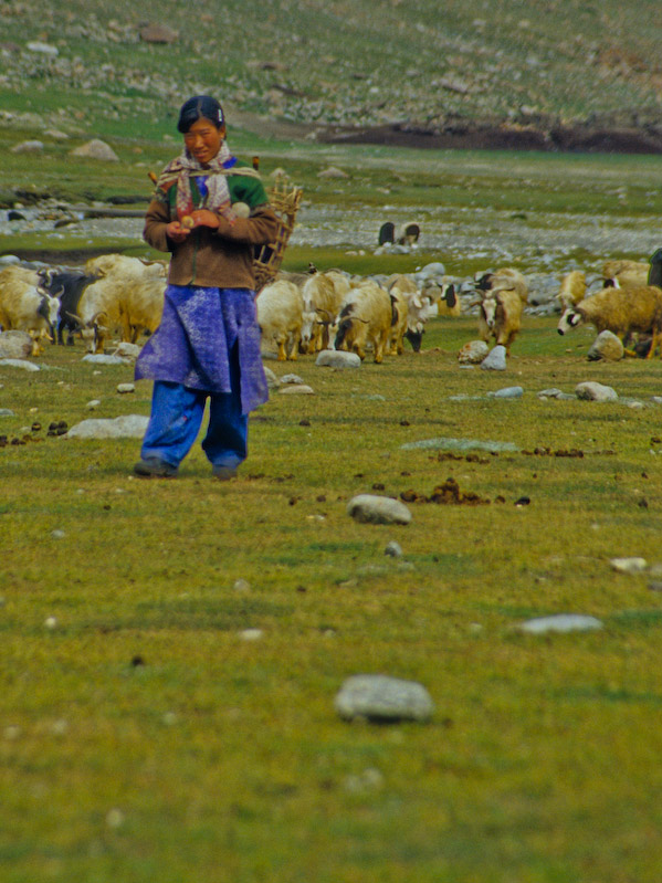 03_Ladakh_2000_Hemis_Trek_Bild_028
