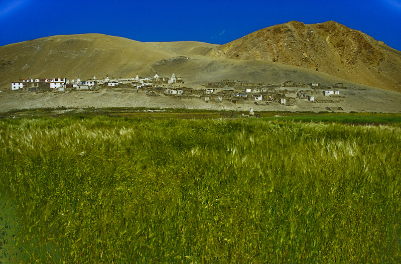 04_Ladakh_2000_Hemis_Trek_Bild_026