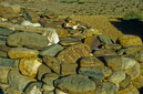 02_Ladakh_2000_Hemis_Trek_Bild_051