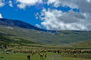 03_Ladakh_2000_Hemis_Trek_Bild_025