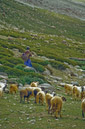 03_Ladakh_2000_Hemis_Trek_Bild_027