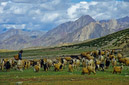 03_Ladakh_2000_Hemis_Trek_Bild_031