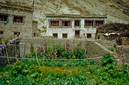 03_Ladakh_2000_Hemis_Trek_Bild_055