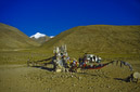 04_Ladakh_2000_Hemis_Trek_Bild_024